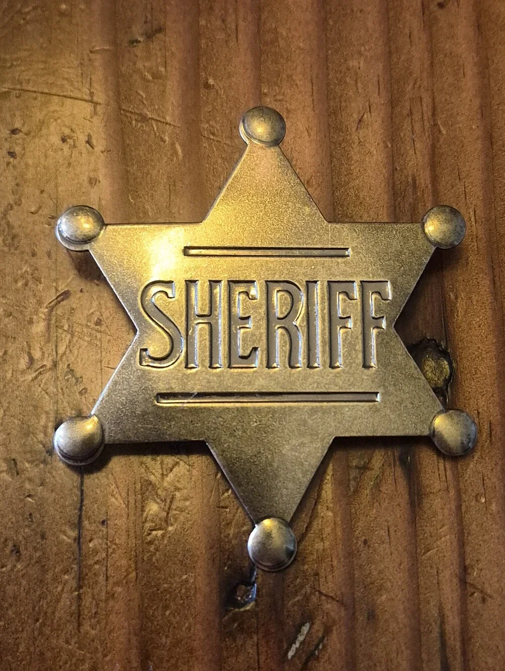 Costume Sheriff Badgs
